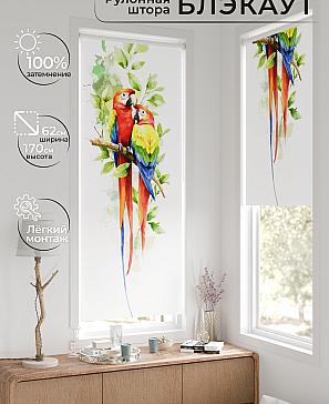 Рулонная штора «Фиреда - 230 - ширина 62 см» | фото 2