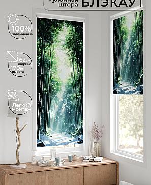 Рулонная штора «Фиреда - 231 - ширина 62 см» | фото 2