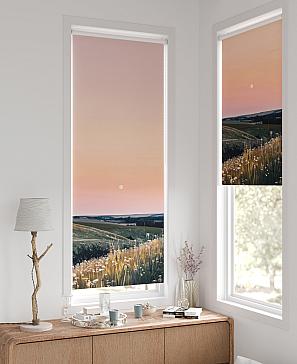 Рулонная штора «Легроса - 225 - ширина 68 см» | фото