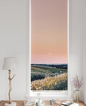 Рулонная штора «Легроса - 225 - ширина 68 см» | фото 3