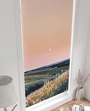 Рулонная штора «Легроса - 225 - ширина 68 см»