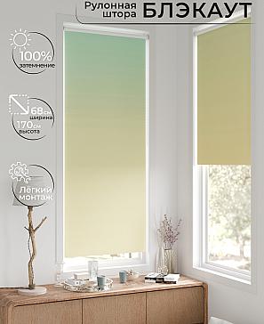 Рулонная штора «Легроса - 245 - ширина 68 см» | фото 2