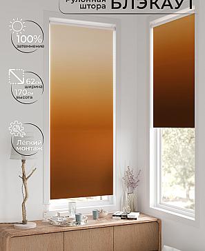 Рулонная штора «Фиреда - 269 - ширина 62 см» | фото 2
