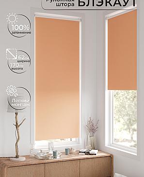 Рулонная штора «Фиреда - 289 - ширина 62 см» | фото 2