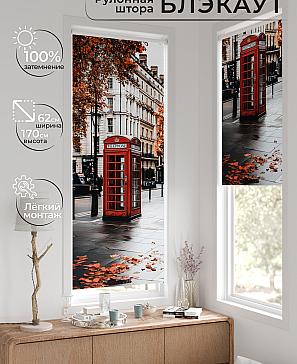 Рулонная штора «Фиреда - 297 - ширина 62 см» | фото 2