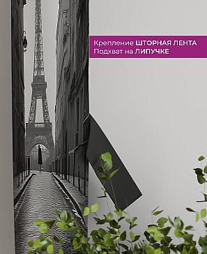 Декоративные подхваты «Флауа - 614» | фото 3