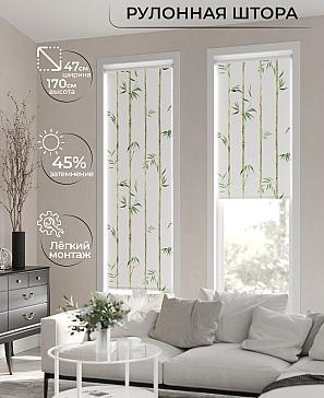Рулонная штора «Ранфрик - 04 - ширина 47 см» | фото 2