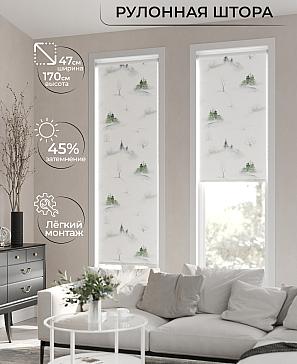 Рулонная штора «Ранфрик - 07 - ширина 47 см» | фото 2