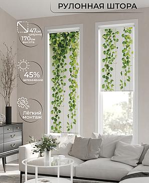 Рулонная штора «Ранфрик - 19 - ширина 47 см» | фото 2