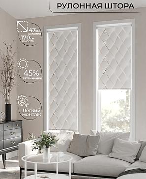 Рулонная штора «Ранфрик - 21 - ширина 47 см» | фото 2