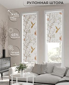 Рулонная штора «Ранфрик - 22 - ширина 47 см» | фото 2