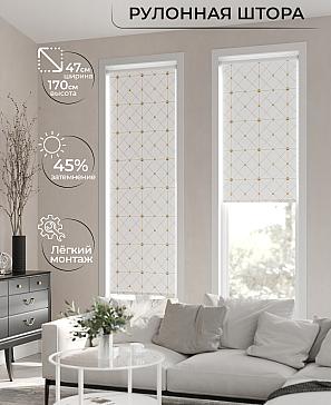 Рулонная штора «Ранфрик - 23 - ширина 47 см» | фото 2