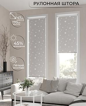 Рулонная штора «Ранфрик - 44 - ширина 47 см» | фото 2