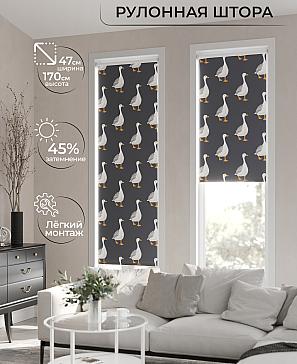 Рулонная штора «Ранфрик - 56 - ширина 47 см» | фото 2