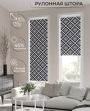 Рулонная штора «Ранфрик - 60 - ширина 47 см» | фото 2