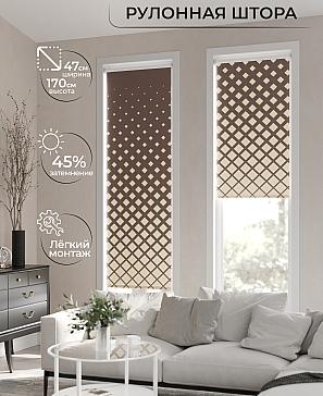 Рулонная штора «Ранфрик - 61 - ширина 47 см» | фото 2