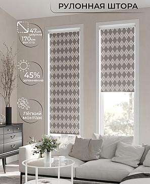 Рулонная штора «Ранфрик - 65 - ширина 47 см» | фото 2