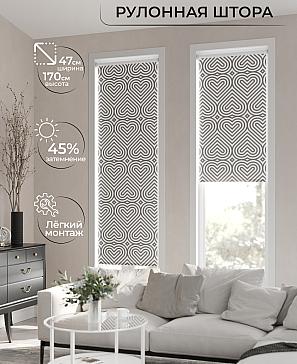 Рулонная штора «Ранфрик - 68 - ширина 47 см» | фото 2
