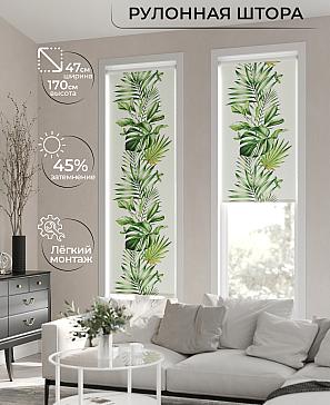 Рулонная штора «Ранфрик - 80 - ширина 47 см» | фото 2
