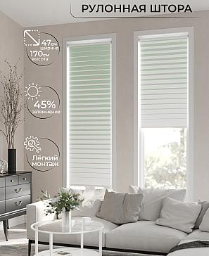 Рулонная штора «Ранфрик - 84 - ширина 47 см» | фото 2
