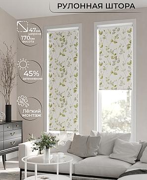 Рулонная штора «Ранфрик - 90 - ширина 47 см» | фото 2