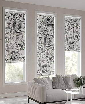 Рулонная штора «Ранфрик - 97 - ширина 47 см»