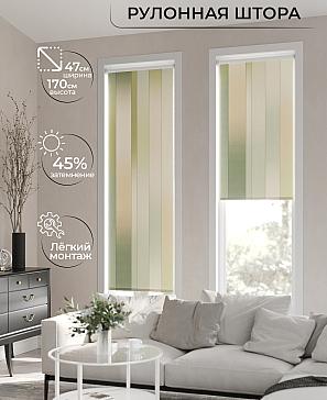 Рулонная штора «Ранфрик - 108 - ширина 47 см» | фото 2