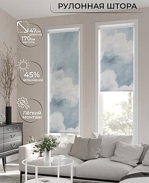 Рулонная штора «Ранфрик - 111 - ширина 47 см» | фото 2