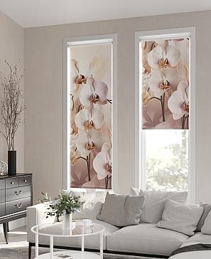 Рулонная штора «Ранфрик - 141 - ширина 47 см» | фото