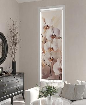 Рулонная штора «Ранфрик - 141 - ширина 47 см» | фото 3