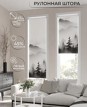Рулонная штора «Ранфрик - 151 - ширина 47 см» | фото 2