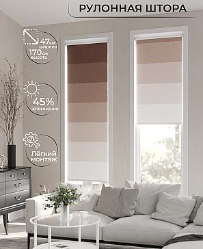 Рулонная штора «Ранфрик - 153 - ширина 47 см» | фото 2
