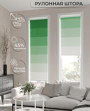Рулонная штора «Ранфрик - 157 - ширина 47 см» | фото 2