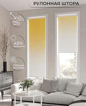 Рулонная штора «Ранфрик - 160 - ширина 47 см» | фото 2