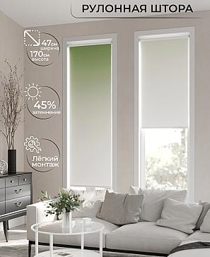 Рулонная штора «Ранфрик - 161 - ширина 47 см» | фото 2