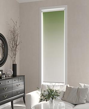 Рулонная штора «Ранфрик - 161 - ширина 47 см» | фото 3