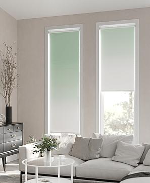 Рулонная штора «Ранфрик - 164 - ширина 47 см» | фото