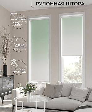 Рулонная штора «Ранфрик - 164 - ширина 47 см» | фото 2