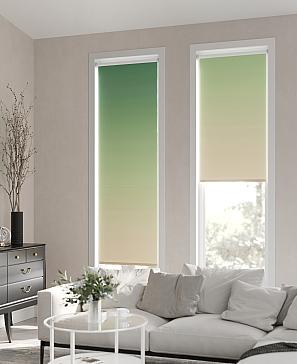 Рулонная штора «Ранфрик - 168 - ширина 47 см» | фото