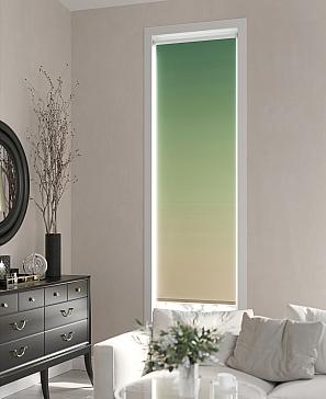 Рулонная штора «Ранфрик - 168 - ширина 47 см» | фото 3