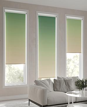 Рулонная штора «Ранфрик - 168 - ширина 47 см»