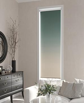 Рулонная штора «Ранфрик - 169 - ширина 47 см» | фото 3