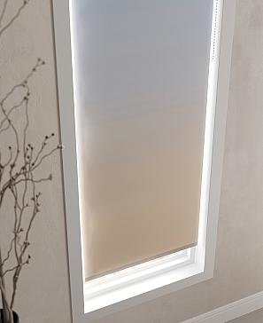 Рулонная штора «Ранфрик - 170 - ширина 47 см»