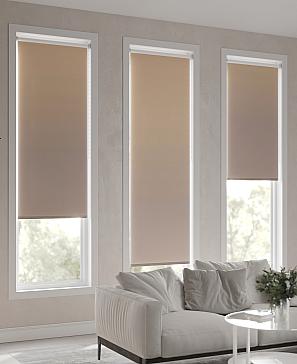 Рулонная штора «Ранфрик - 171 - ширина 47 см»