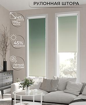 Рулонная штора «Ранфрик - 176 - ширина 47 см» | фото 2