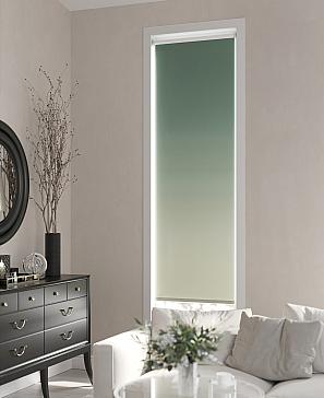 Рулонная штора «Ранфрик - 176 - ширина 47 см» | фото 3