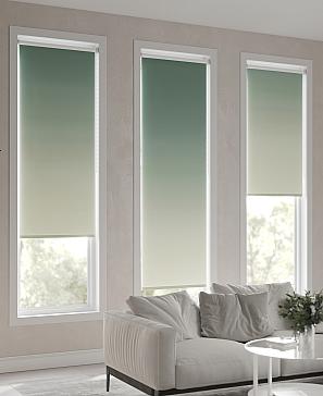 Рулонная штора «Ранфрик - 176 - ширина 47 см»