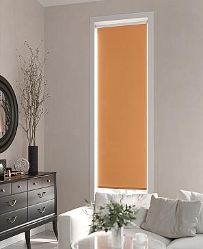 Рулонная штора «Ранфрик - 189 - ширина 47 см» | фото 3