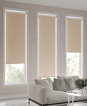 Рулонная штора «Ранфрик - 193 - ширина 47 см»