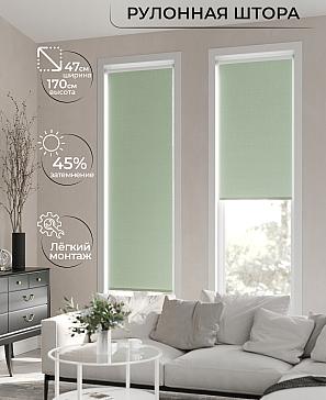 Рулонная штора «Ранфрик - 195 - ширина 47 см» | фото 2